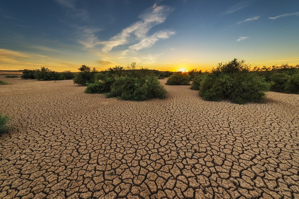 La sequía en España: un peligro para la agricultura y la economía nacional