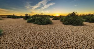 La sequía en España: un peligro para la agricultura y la economía nacional