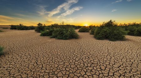 La sequía en España: un peligro para la agricultura y la economía nacional